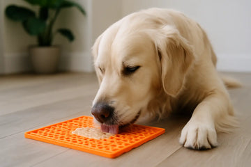 Lick Mat Benefits for Dogs That Matter Daily