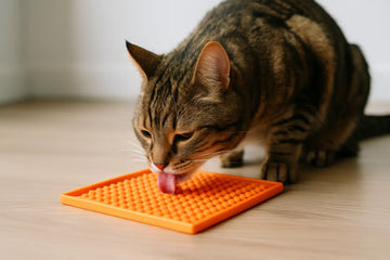 Lick Mat Benefits for Cats That Actually Help