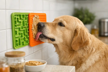 Is a Silicone Lick Mat Safe for Dogs?