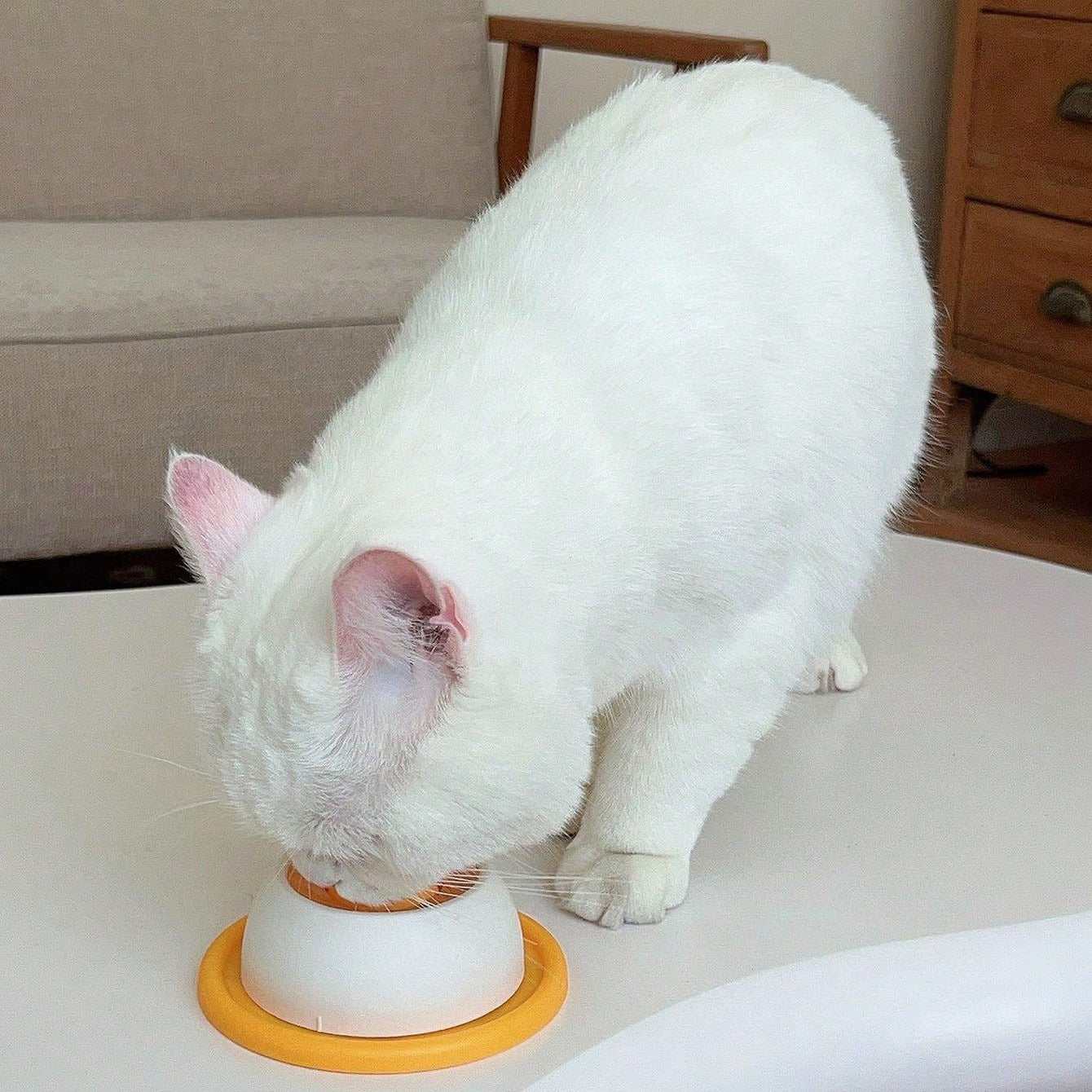 Slow Feeder Lick Mat for Dogs