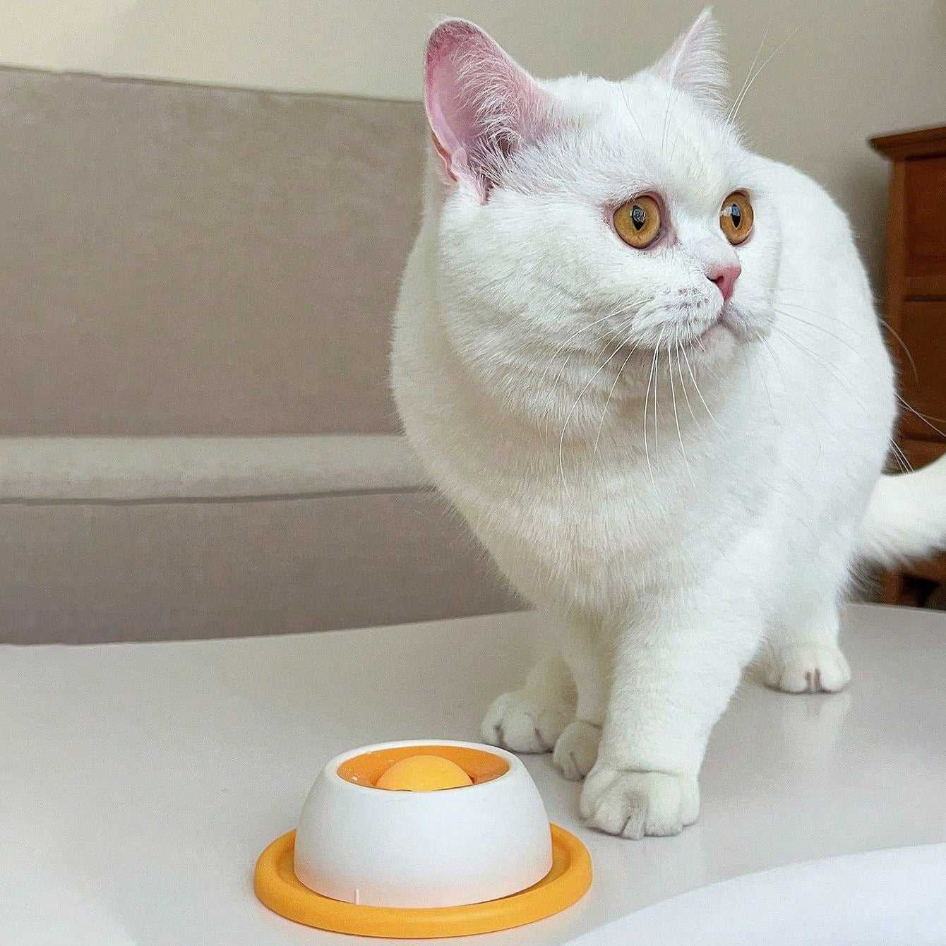 Slow Feeder Lick Mat for Dogs